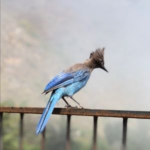 Meet your Posher, Wesley